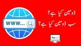What is Domain & Sub Domain Explain By Digi Urdu